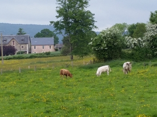 LES HAUTS DE CURCY ET LES RIVES DE L ORNE-calvados