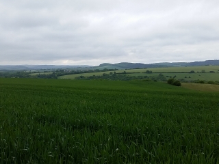 LES HAUTS DE CURCY ET LES RIVES DE L ORNE-calvados