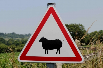 LE BILLOT - PAYS D AUGE-calvados