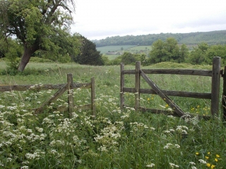 FOURNEVILLE-calvados