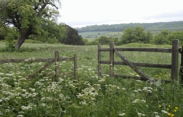 FOURNEVILLE-calvados