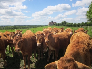 EN SUIVANT L ALGOT-calvados