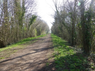 A L EST DE PONT L EVEQUE-calvados