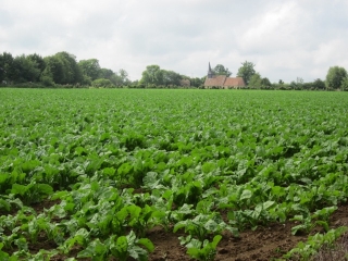 BONNEBOSQ - BOUCLE DE 30 KM-calvados