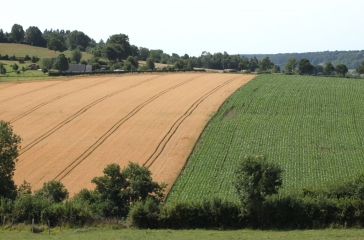 FERVAQUES - LA CROUPTE 12 KM-calvados