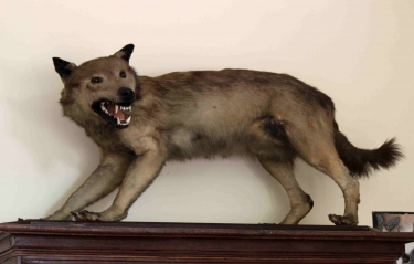 NOTRE-DAME-DE-COURSON-calvados