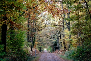 FERVAQUES - LA CROUPTE-calvados