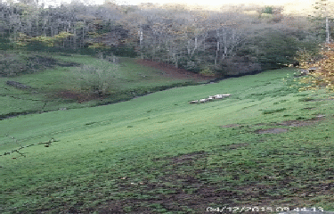 COLLINES ET VALLEES AUTOUR DE SAINT LAMBERT-calvados