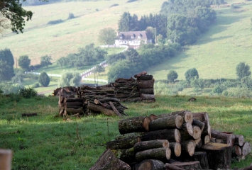 MESNIL-GERMAIN-calvados