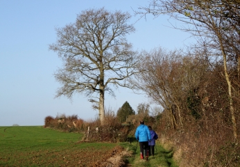 AUTOUR DE CERNAY-calvados