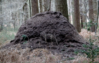 BELLOU - LES MOUTIERS HUBERT-calvados