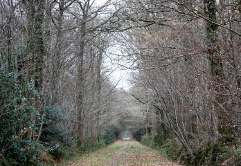 FERVAQUES - AUQUAINVILLE-calvados