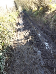 MANERBE (BOUCLE VIA FORMENTIN)-calvados