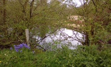 GONNEVILLE-SUR-HONFLEUR - COTE DE GRACE-calvados