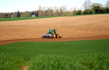 COURTONNE-LES-DEUX-EGLISES (3)-calvados