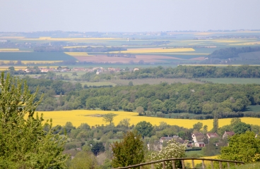LE BILLOT - LA CHAPELLE HAUTE GRUE-calvados