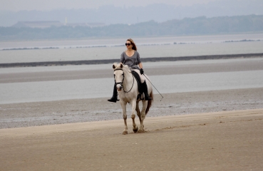 LE BOIS DU BREUIL - HONFLEUR -calvados