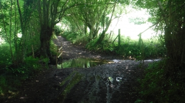 BOUCLE PIERREFITTE EN AUGE PAR LE GR-calvados