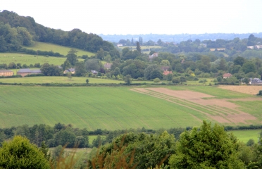 MANNEVILLE-LA-PIPARD - BOIS DE MANNEVILLE-calvados