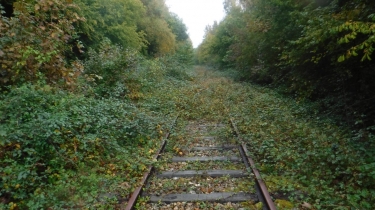LA RIVIERE SAINT SAUVEUR-calvados