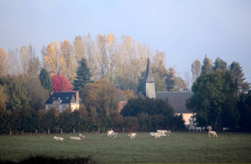 MOYAUX - LES BRUYERES CARREES  -calvados