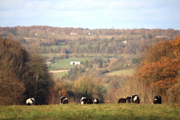 SAINT CYR DU RONCERAY - SAINT PIERRE DE MAILLOC-calvados