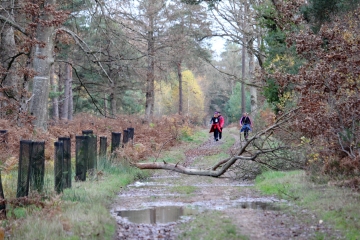 LA VESPIERE - ST MARTIN DE BIENFAITE-calvados