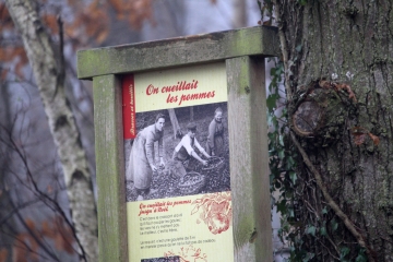 SAINT CYR DU RONCERAY (5)-calvados