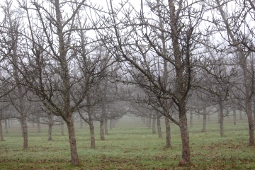 SAINT CYR DU RONCERAY (5)-calvados