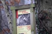 SAINT CYR DU RONCERAY (5)-calvados