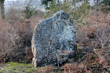 LIVAROT - STE MARGUERITE DES LOGES (2)-calvados