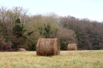 SAINT-CYR-DU-RONCERAY (6)-calvados