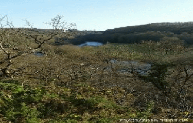 SAINTE-HONORINE-DU-FAY- TROIS-MONTS - MAIZET-calvados