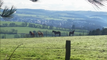 DU PONT DE BRIE A THURY-HARCOURT -calvados