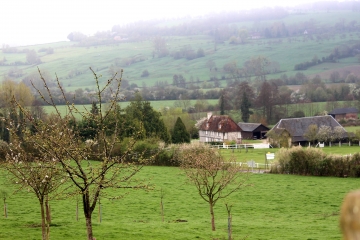 LIVAROT (3)-calvados