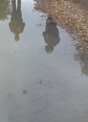 TOUQUES - SAINT GATIEN DES BOIS-calvados