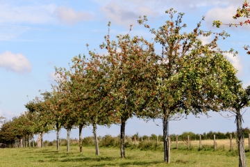 BELLOU - LISORES-calvados