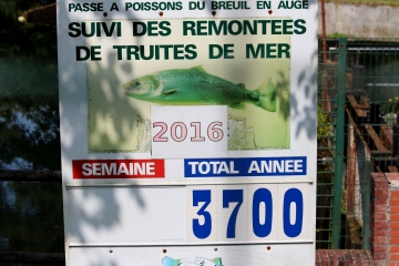 NOROLLES - LE BREUIL EN AUGE-calvados