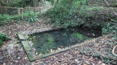 TOURGEVILLE - ST-ETIENNE-LA-THILLAYE-calvados