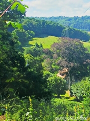 LE MESNIL-VILLEMENT- SAINT-PHILIBERT-SUR-ORNE- FORET-AUVRAY-calvados