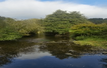 LE MESNIL-VILLEMENT- SAINT-PHILIBERT-SUR-ORNE- FORET-AUVRAY-calvados