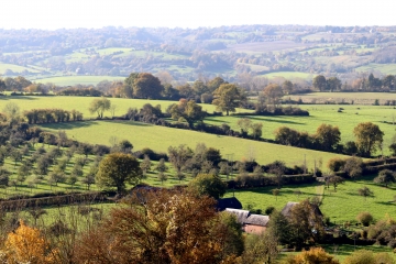 LE MESNIL-GERMAIN (4)-calvados