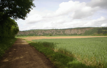 SAINT-REMY - CLECY-calvados