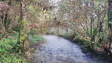 BENY-BOCAGE-calvados