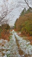 AUTOUR DE ROUCAMP-calvados