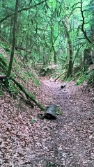 AUTOUR DE ROUCAMP-calvados