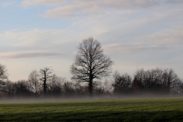 PRETREVILLE - SAINT MARTIN DE MAILLOC (2)-calvados