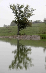 LE MESNIL-DURAND (2)-calvados