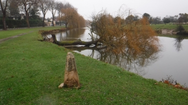 SAINT-ARNOULT ET VARIETE-calvados