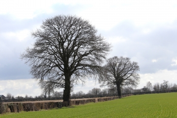 SAINTE-MARGUERITE-DES-LOGES - LE MESNIL GERMAIN-calvados